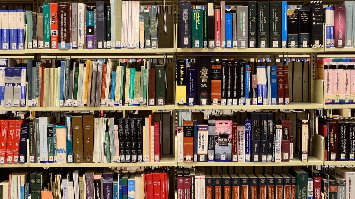 ошибка 404 mobirise, pixabay